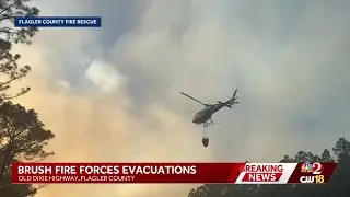 Brush fire causes evacuations and road blocks in Flagler County, deputies say