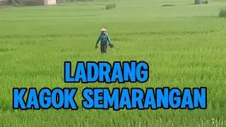 MAT MATAN LADRANG KAGOK SEMARANGAN