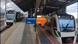 Fremantle to Mandurah Line Through Service (incl. Fremantle to Claremont B-Series Journey)