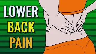 Best Exercises To Help Lower Back Pain at home  (No gym required)