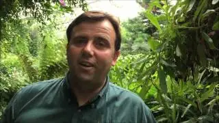 5 'Secret Spots' in Cardiff's Parks #3 Roath Park Conservatory