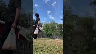 Picking Orange Lemons Off a Dying Tree {FULL}