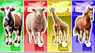 Funny Parrot vs Funny Bison vs Funny Dolphin vs Funny Buffalo - Tiles Hop Coffin Dance