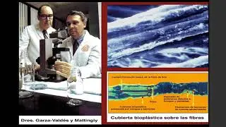 Sábana Santa: Ciencia y misterio 5. Otros estudios sobre la sábana