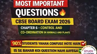 MOST IMPORTANT QUESTIONS AND ANSWERS CLASS 10 SCIENCE CHAPTER 6 DON'T SKIP 🔥