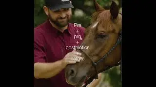 SafeChoice feeds continue to advance what's best for horses