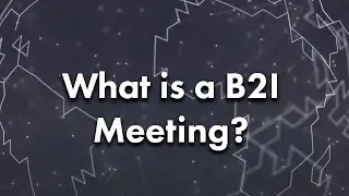 What is a B2I Meeting?