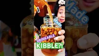 I INFUSED BROTH with DOGFOOD & Made A Cocktail?!Genius?Or🤮#cocktails #shortsyt #pawtini #dogshorts
