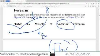 Snell Anatomy | Muscles of FOREARM Region | Upper Limb | Dr Asif Lectures