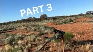 Part 3.Detecting the Western Australian goldfields. GPX 6000 and GPZ 7000. Nice specie found