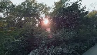 Best Forest in Delhi City Forest