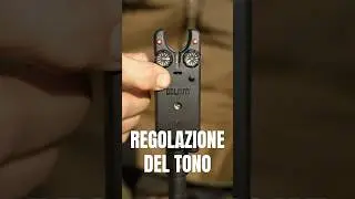 Delkim Txi-D V2: Regolazione del tono