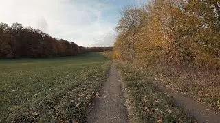 Lauf Trailrun Katharinenberg Wanfried Kolonnenweg Plesseturm