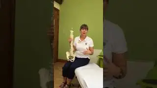 Welcome to Luck&rsquo;s Yard Chiropractic Clinic