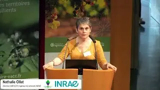 Eau et vigne : approche syst&eacute;mique du projet LACCAVE pour une viticulture r&eacute;siliente