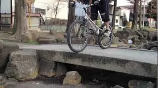 2012320 水中公園