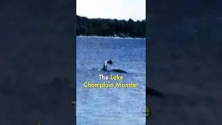 The U.S. Loch Ness Monster: Champ