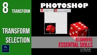 Transform Selection