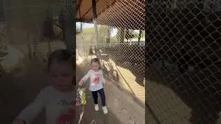 #familyvlog #shorts