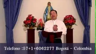 La Medalla Milagrosa sana a los enfermos