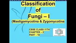 Classification of Fungi - I ( Mastigomycotina & Zygomycotina)