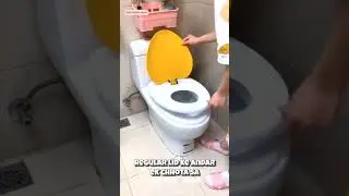 🇰🇷 Korean Toilet = Absolute Genius! 😍🚻
