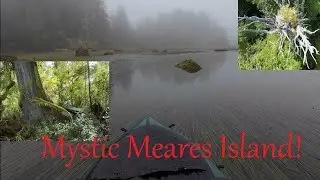 Ep 35 - Paddling and hammock camping with wolves - Pt 3 Meares Island, and Big Tree Trail