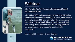 Exploring Ecosystems Through Environmental DNA