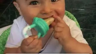 Fruit Pacifier & Teether