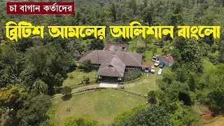 চা শ্রমিকরা বস্তিতে আর কর্তারা থাকে রাজার হালে | Tea Garden Bungalow | MoulaviBazar