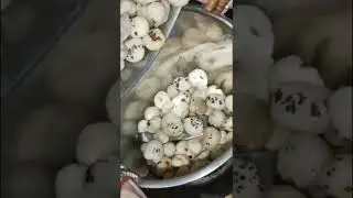 Mewa Pak Barfi #pak #batfi #shorts #youtubeshorts #family #recipe #viral #homemade