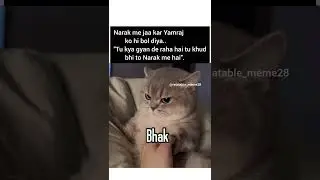 #relatable #ytshorts #funny #trending #cat #memes #fypシ゚viral #fyp #edit #sadstatus #comedy #shorts