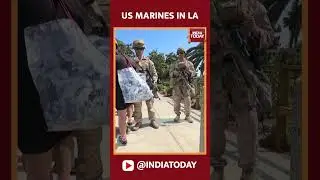 US Marines Stop Civilian on LA Bridge Amid Protest Tensions | US News