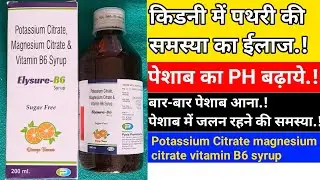 Elysure-B6 Syrup || Potassium citrate,Magnesium citrate & Vitamin B6 syrup || kidney stone .||