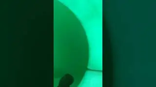 Kalahari experience
