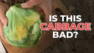 2-things to do with Bad Cabbage