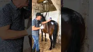 Cura Hongos de @equimas, comparte a quien le pueda interesar 👍🤠