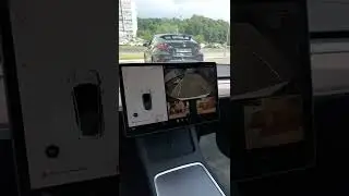 Тесла Модел 3 камера заднего вида / Black Pixel