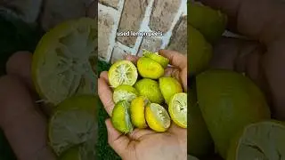 Don't throw away used lemon peels#Diy Kitchen Cleaner#Homemade furniture cleaner#Smart Tips#shorts