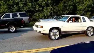 GATOYZ T.V. BHD2