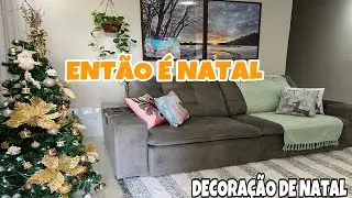 FAXINA E ORGANIZAÇÃO  COMPRINHAS LINDAS | MONTAMOS NOSSA ÁRVORE DE NATAL DECOREI O LAR 🎄 🤶