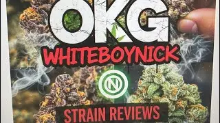 PURPLE STICKY PUNCH 🥊 Strain review 🔥 