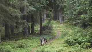 ep271 Hike Marktleuthen Bayern Germany