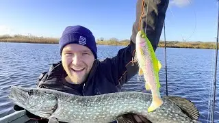 Live waterwolf beelden tijdens het trollen op snoek