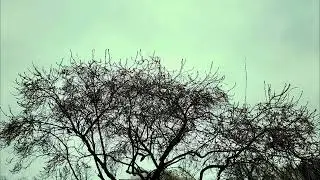 Spring clouds