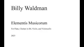 Billy Waldman - Elementis Musicorum