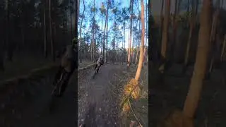 INSTA360 X4 #mtb #automobile #downhill #cycling #mountainbike #tricks #mtblife #bestof