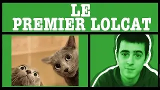 AMoK#9 - Les chats boxeurs - The very first LoLcat