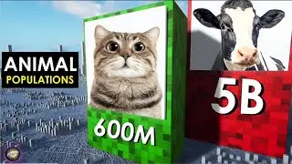 Comparison: Animal POPULATIONS