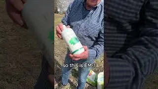 3 Ways To Grow Bigger Garlic